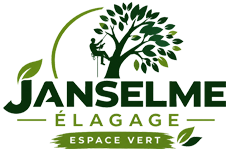 elagage-janselme-elagage-espace-vert